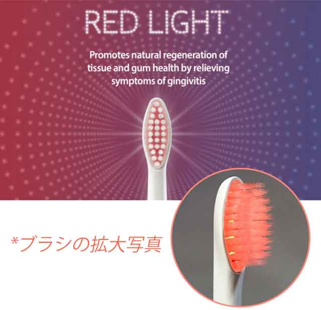赤色光は、歯周病ケアと歯茎のコラーゲン活性化